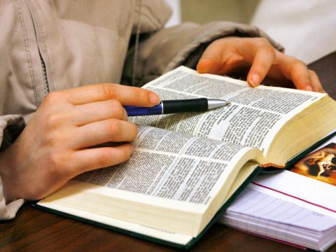 Special Sunday dedicated to the word of God