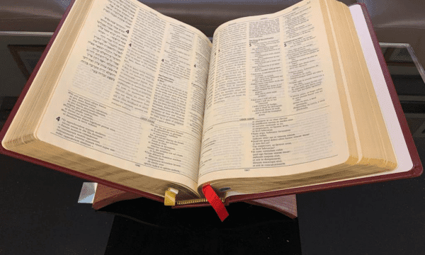 Hold the Bible in your hands to make it  your prayer