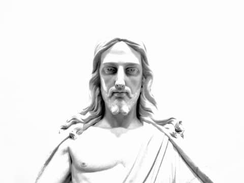 Your daily Mass guide