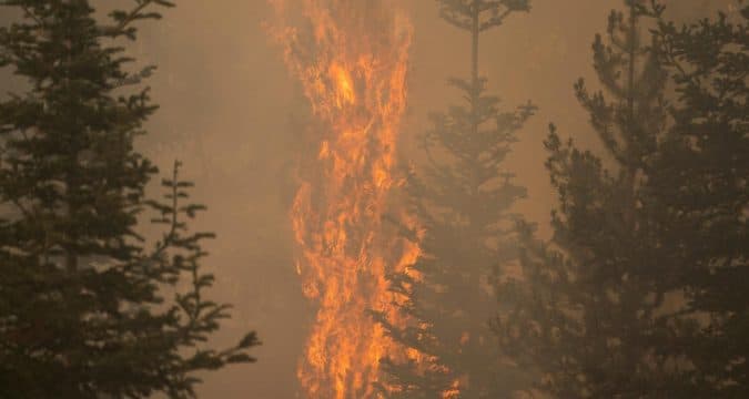 We are responsible for a burning, drowning planet We are responsible for a burning, drowning planet