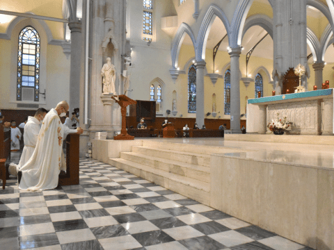 The obligation to preach stressed on Mission Sunday