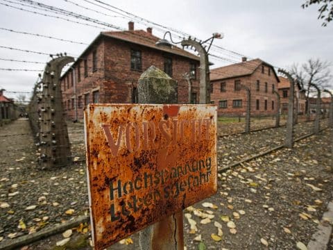 Never forget or repeat horrors of Holocaust, pope says Never forget or repeat horrors of Holocaust, pope says
