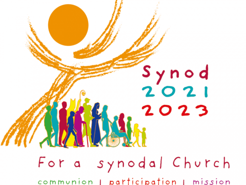 Synodal process showing good progress and some challenges