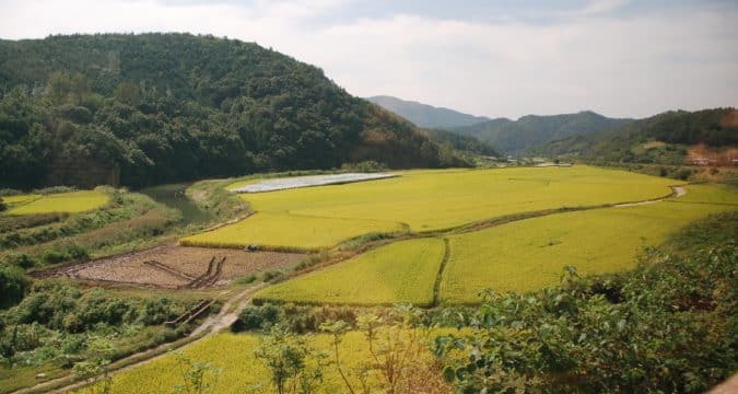 Farmers go organic to ease Korean food crisis 