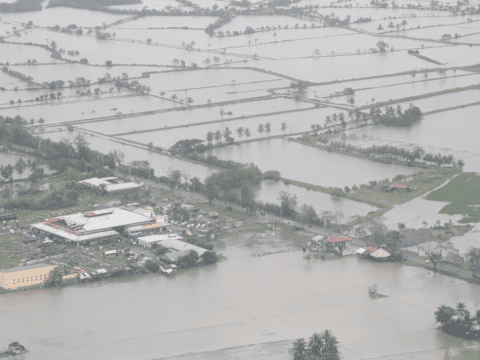 Philippine farmers call for aid after devastating typhoon
