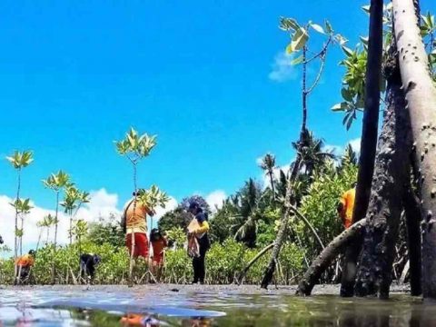 Bid launched to save Philippine coastlines Bid launched to save Philippine coastlines