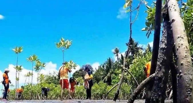 Bid launched to save Philippine coastlines Bid launched to save Philippine coastlines
