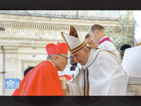All have a definite place in the Church, says Cardinal Chow