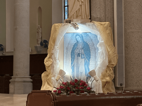Mass in honour of Our Lady of Guadalupe celebrated at cathedral