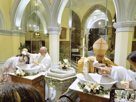Cardinal calls commitmment to culture of life at Easter Vigil