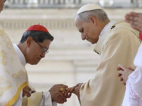 Pope Leo begins papacy calling for a ‘united Church’ in a wounded world Pope Leo begins papacy calling for a ‘united Church’ in a wounded world