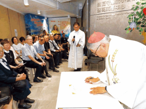 Safeguarding minors and vulnerable individuals in a synodal Church
