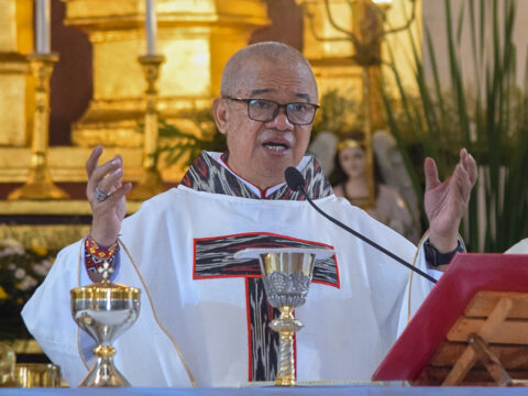 Philippine bishops’ commission on social action calls for end to political dynasties 
