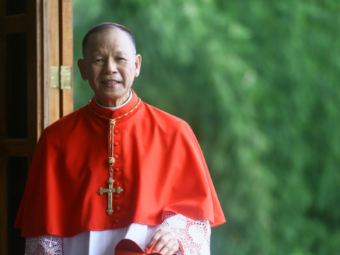 Cardinal says shadow of disinformation, exclusion and clericalism lurks over the Philippines Cardinal says shadow of disinformation, exclusion and clericalism lurks over the Philippines