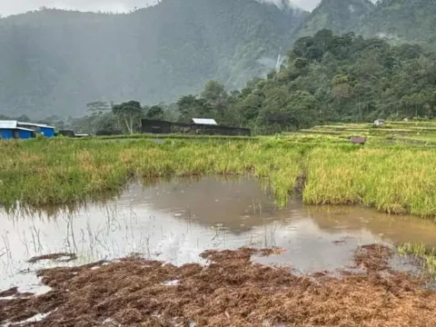 Church, activists demand end to land dispute in Indonesia’s Flores Island