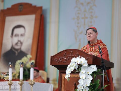 Choose truth over falsehood cardinal says at Vietnam beatification Choose truth over falsehood cardinal says at Vietnam beatification