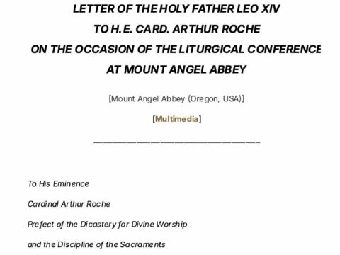 Pope Leo XIV urges fidelity, reverence and formation in the Church’s Liturgy